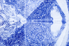 P1190994_2022