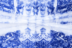 Papillon-Icebergs-k2022