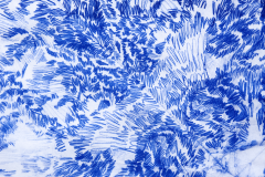 Papillon-Icebergs_b2022