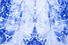 Papillon-Icebergs_d2022