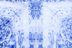 Papillon-Icebergs_e2022
