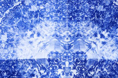 Papillon-Icebergs_f2022