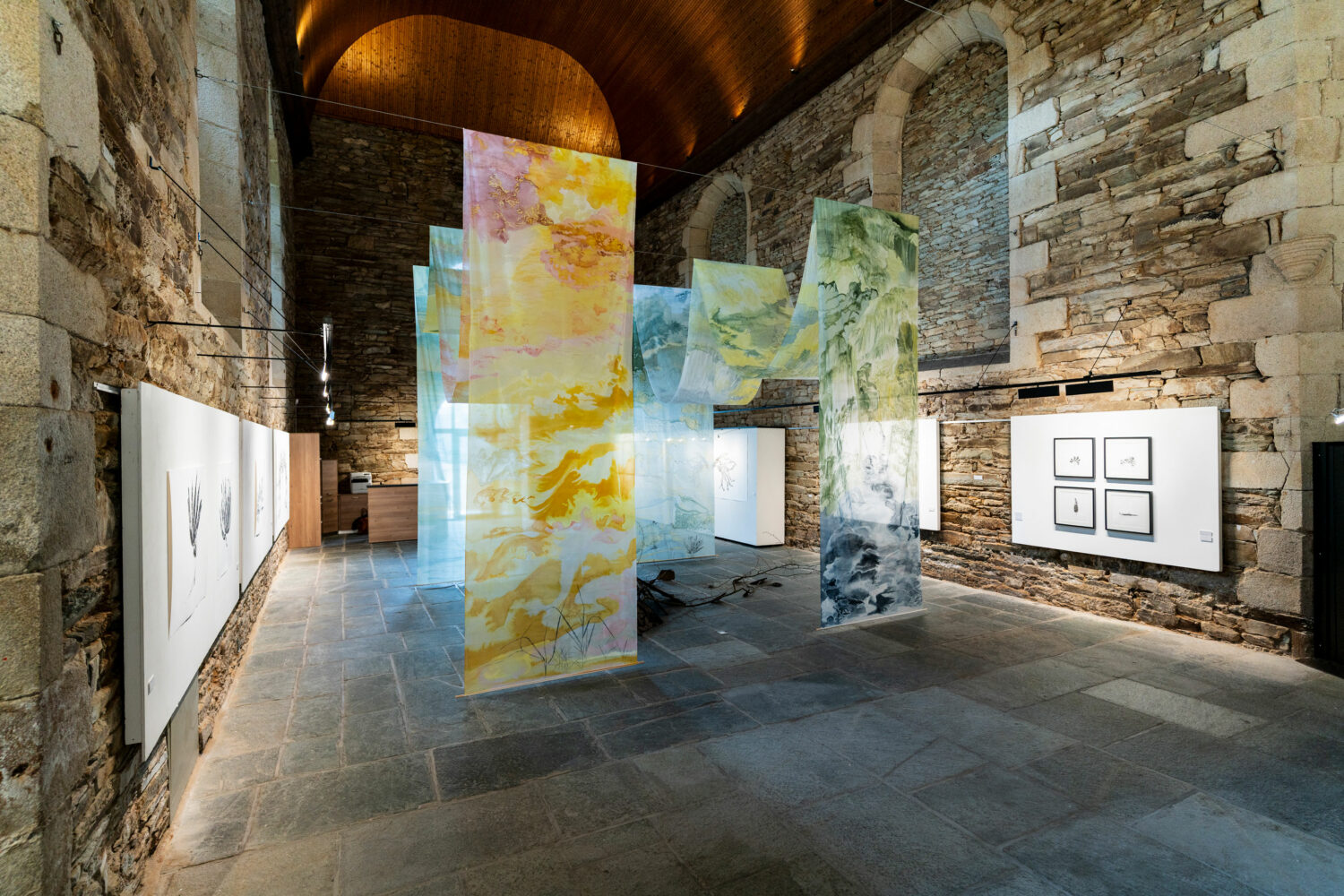 phytographia_ursuline-10