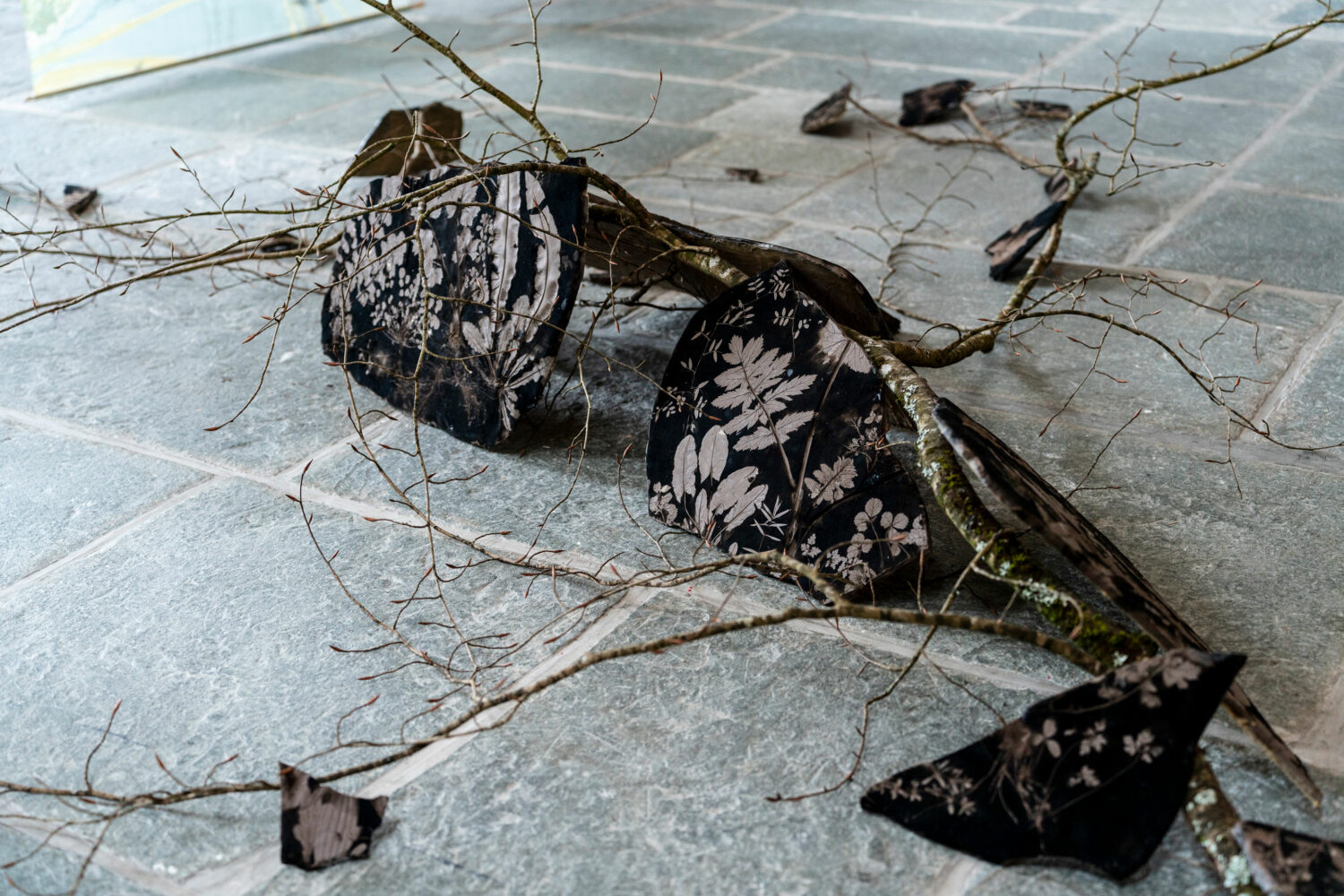 phytographia_ursuline-127