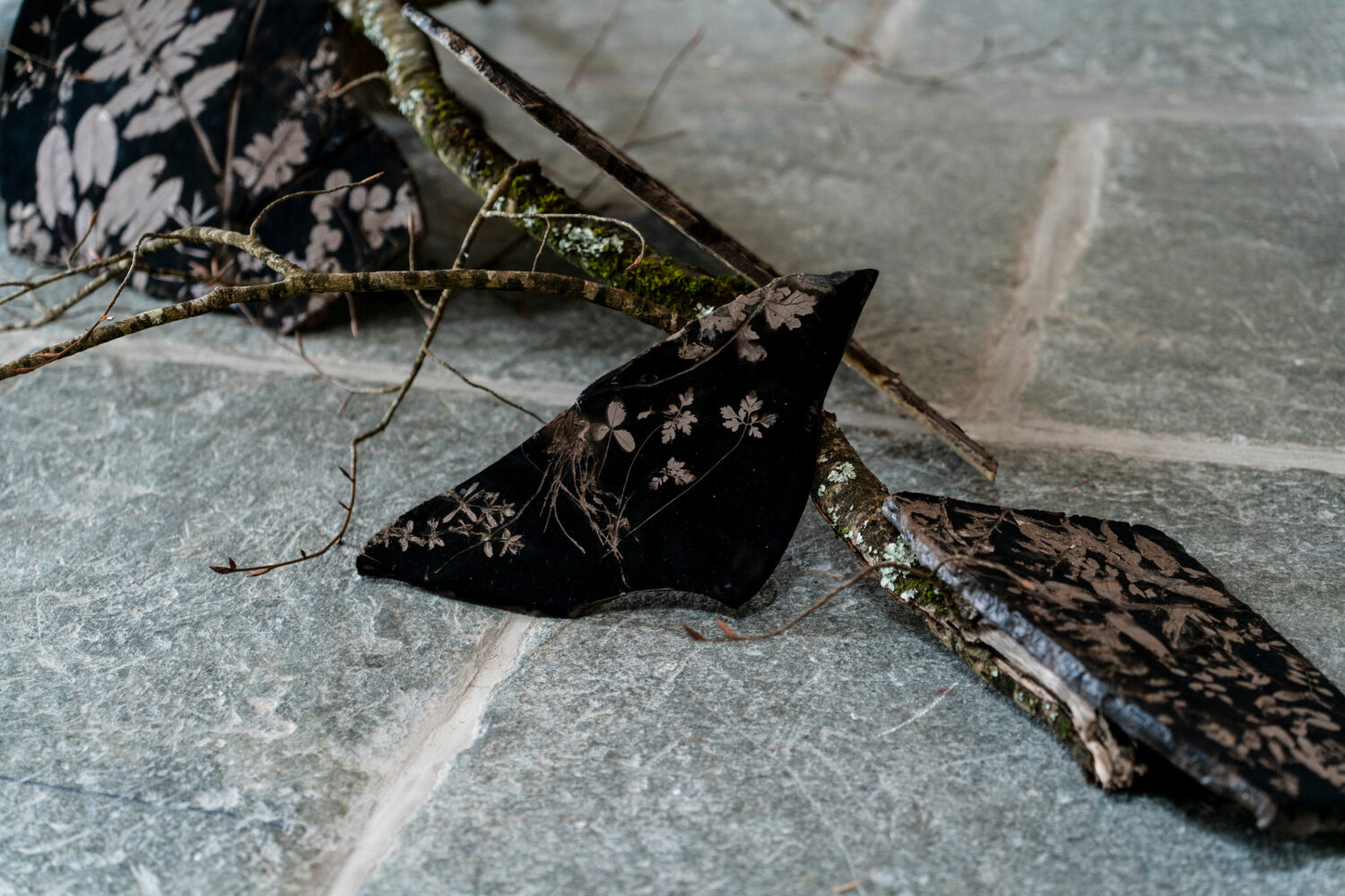 phytographia_ursuline-128