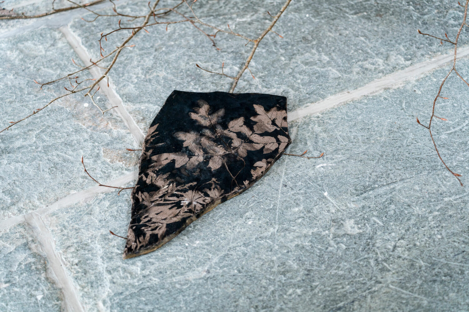 phytographia_ursuline-129