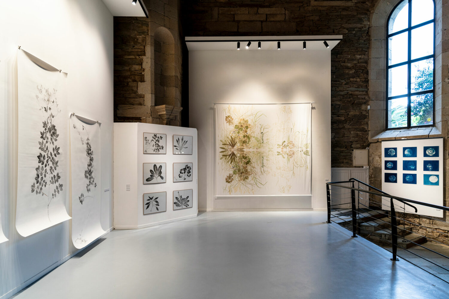 phytographia_ursuline-13