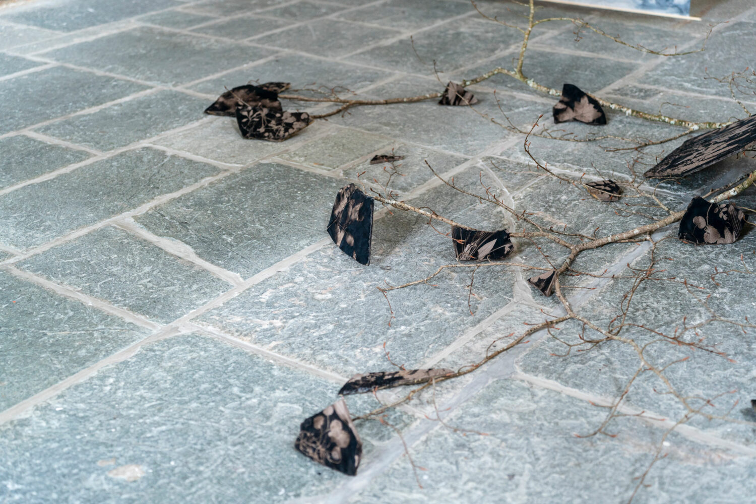 phytographia_ursuline-131