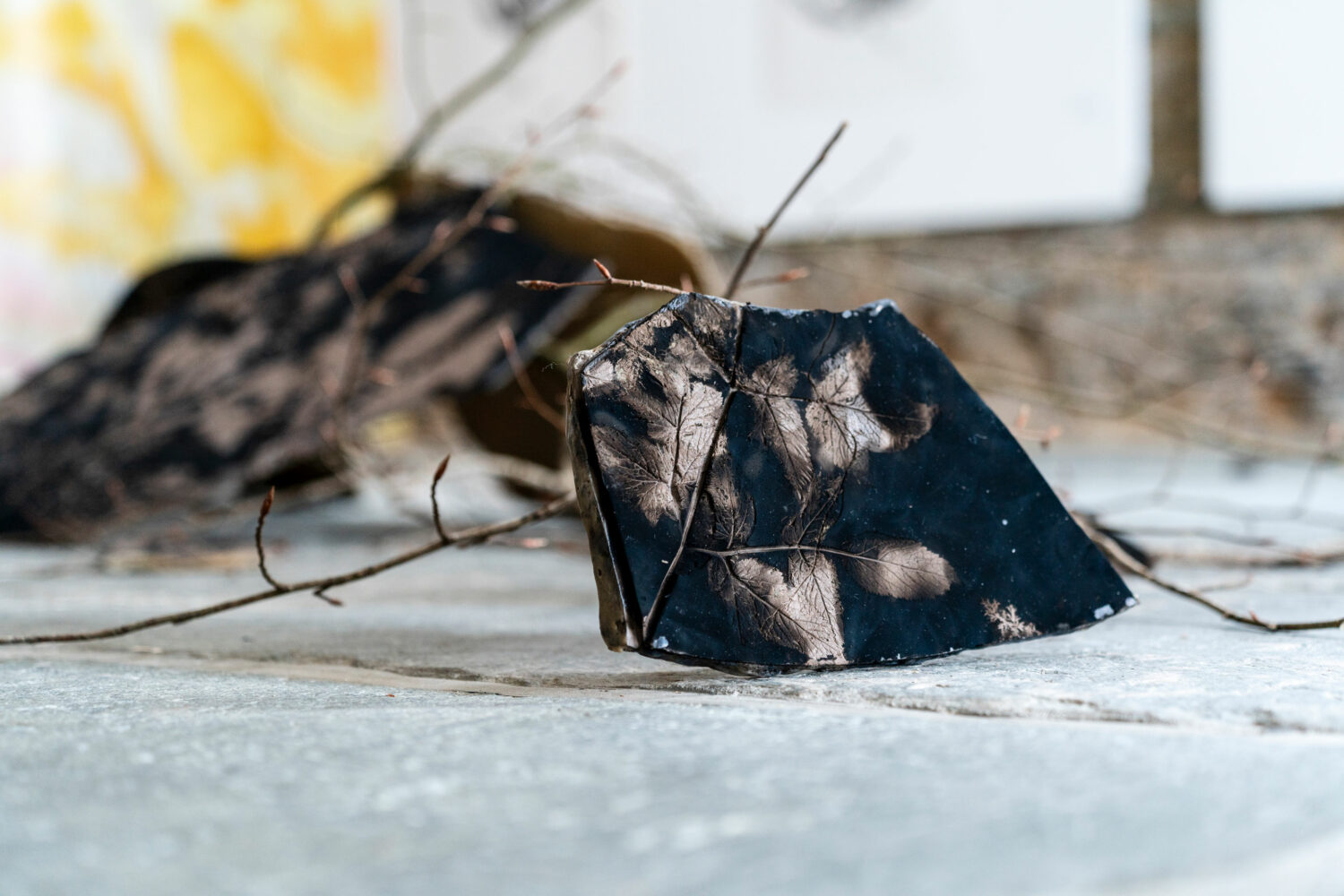 phytographia_ursuline-135