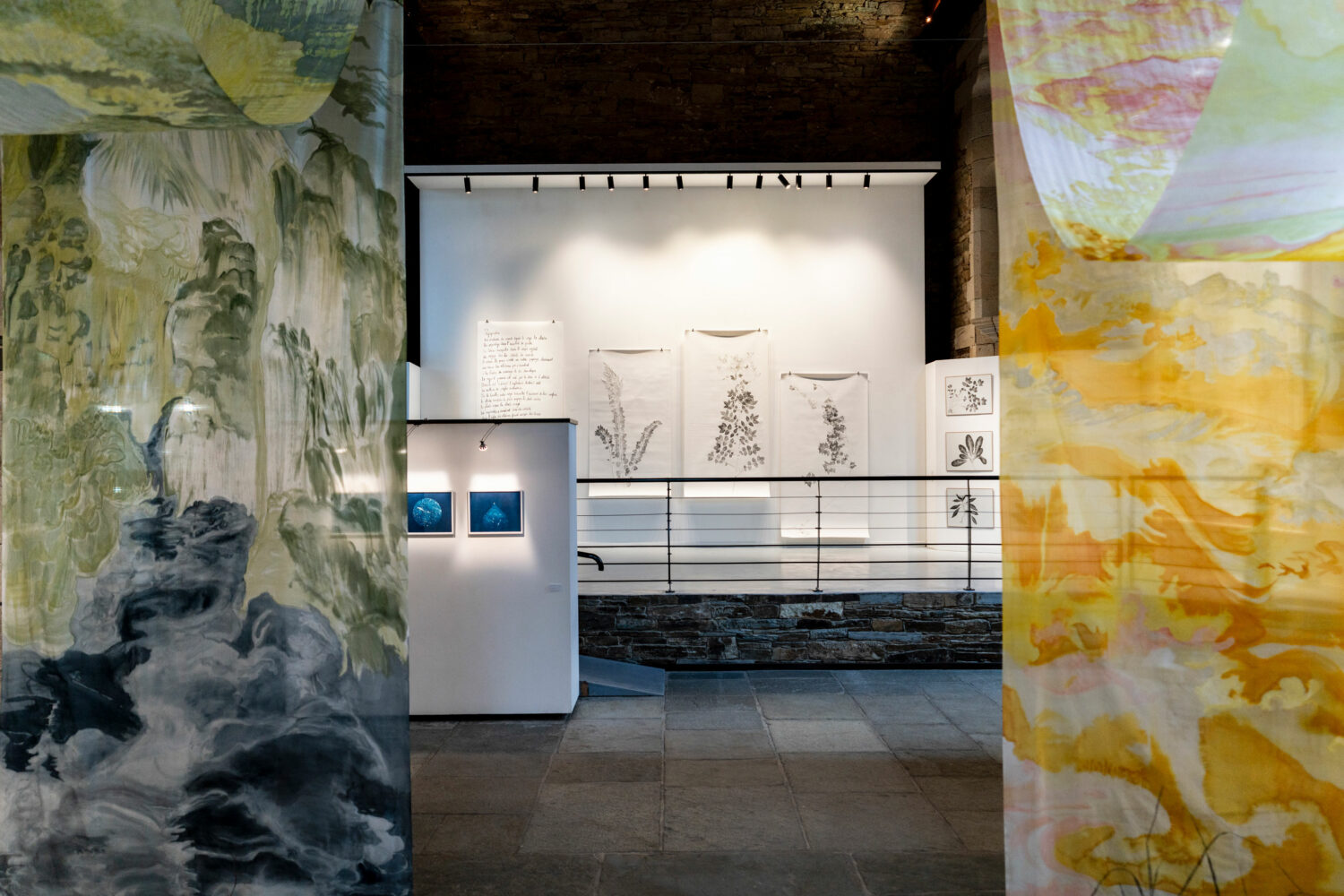 phytographia_ursuline-25