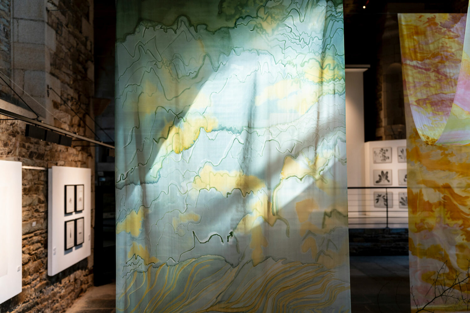 phytographia_ursuline-28