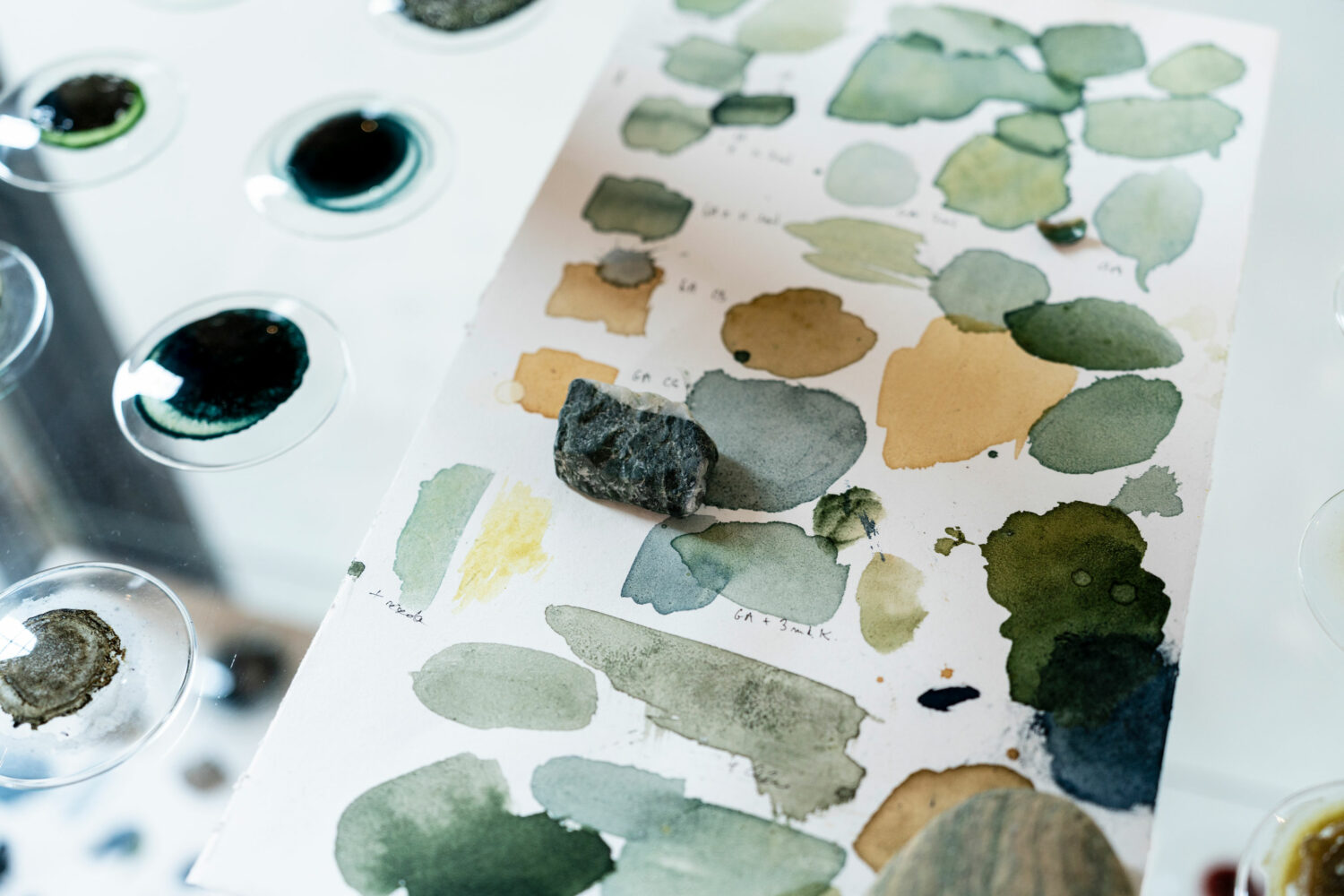 phytographia_ursuline-56