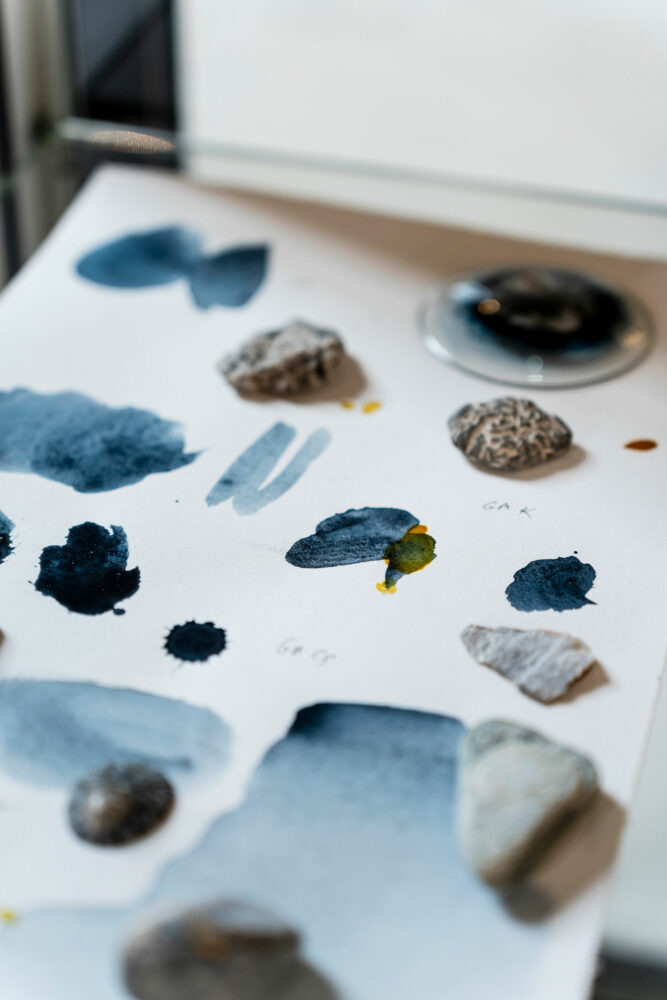 phytographia_ursuline-62