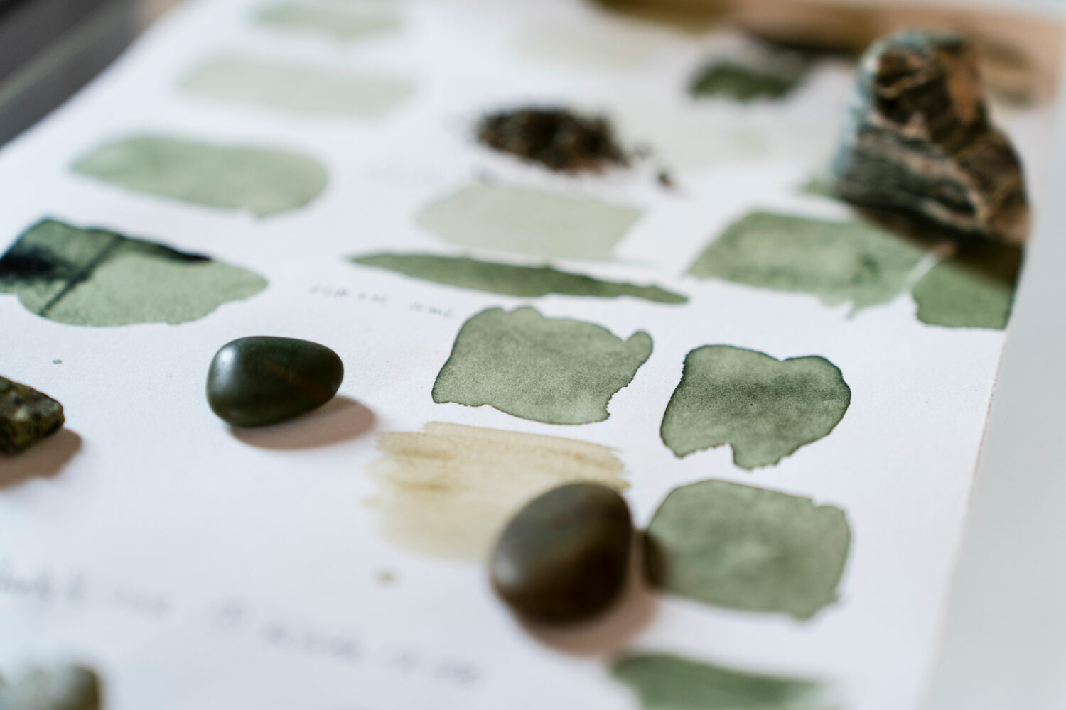 phytographia_ursuline-65