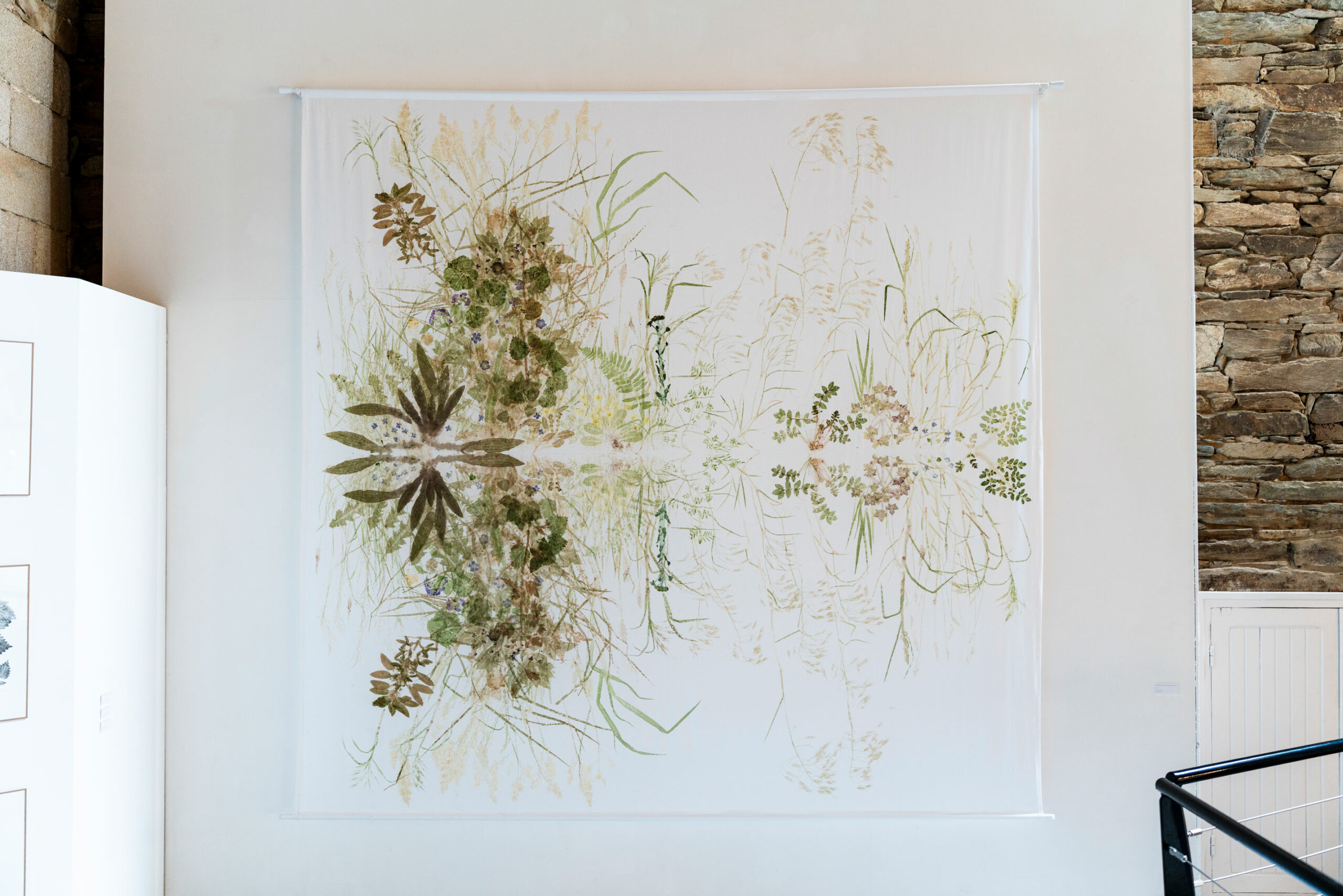 phytographia_ursuline-79