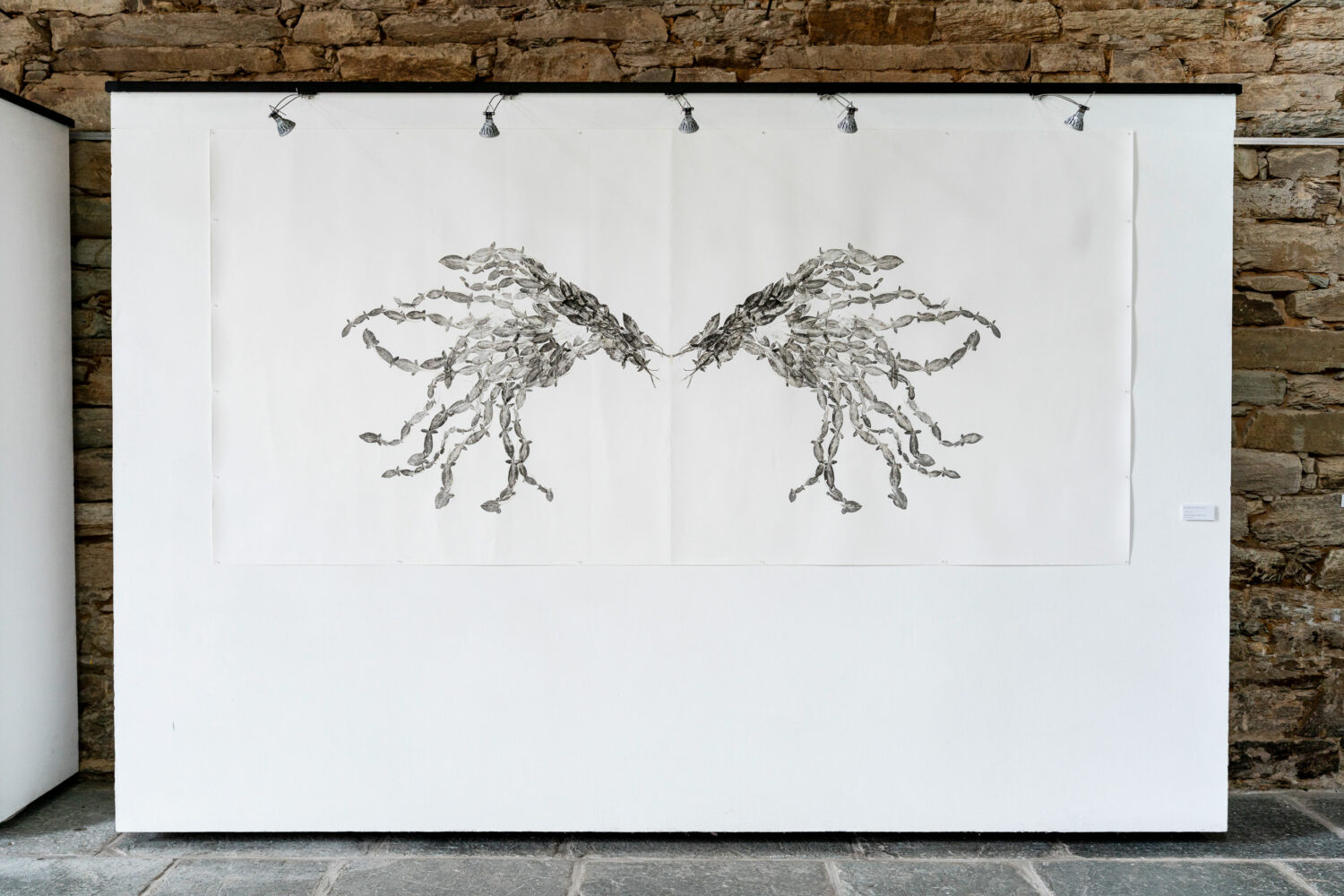 phytographia_ursuline-93