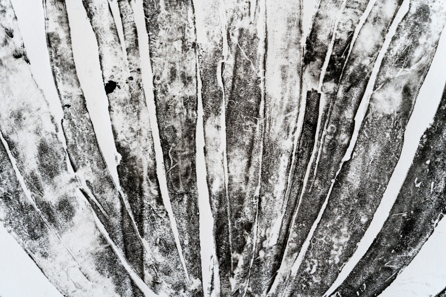 phytographia_ursuline-116