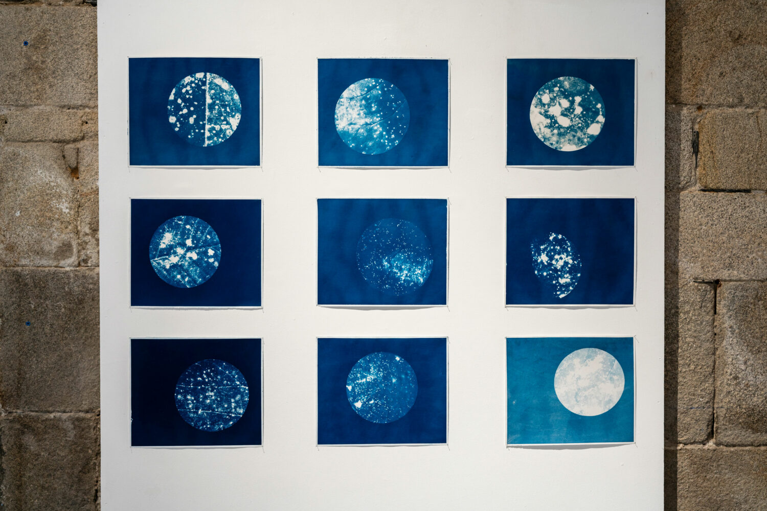 phytographia_ursuline-51